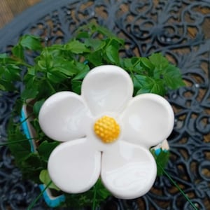 choose Ceramic flowers 3.00 to 4.50 Daisy hellebores ivy CLEAR GLAZE white daisy 1