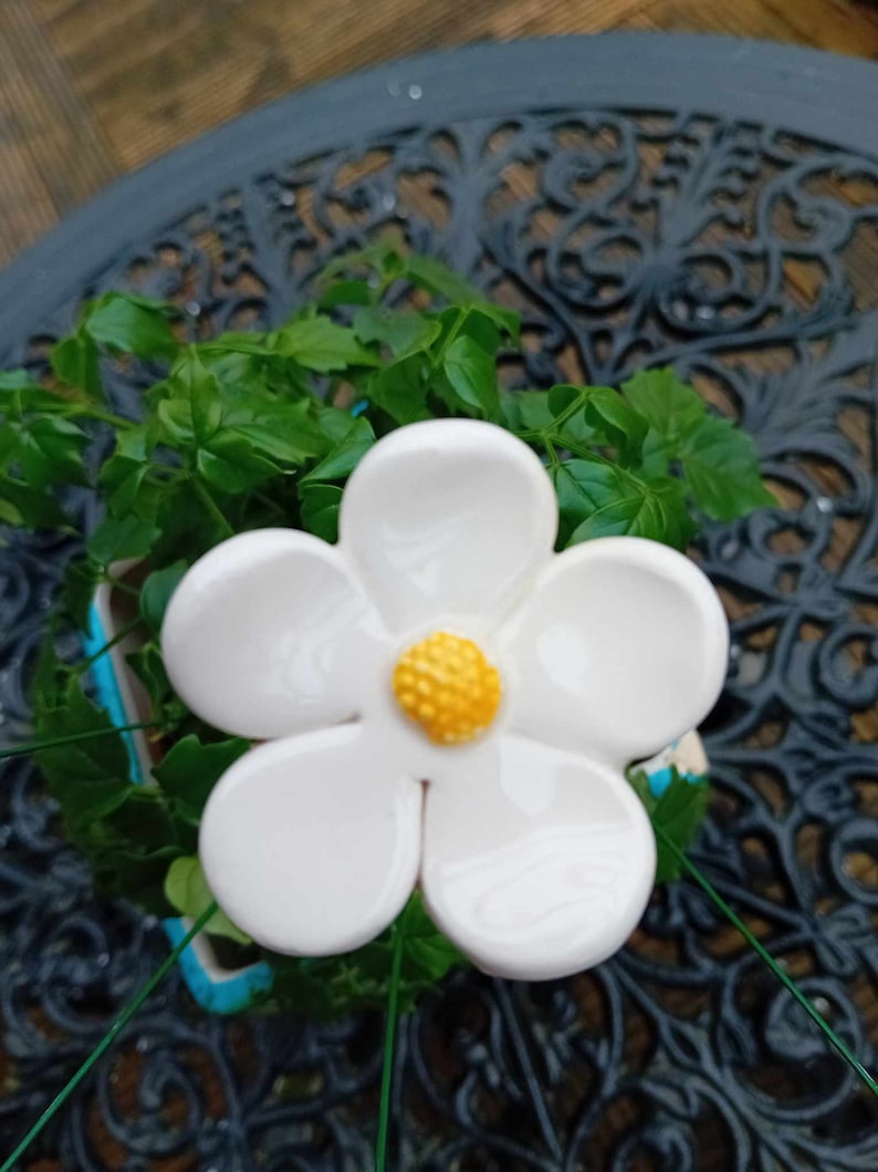 choose Ceramic flowers 3.00 to 4.50 Daisy hellebores ivy CLEAR GLAZE white daisy 1