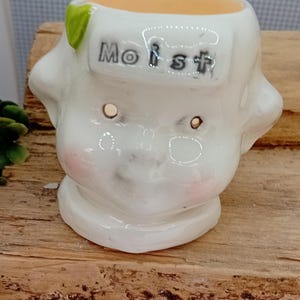 May include: A white ceramic planter shaped like a face, with the word "Moist" printed on the forehead. The planter has a light orange interior and a green leaf detail. It sits on a wooden surface.