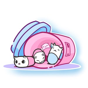 Sticker pour bouteille de pilules chat - Arikoa Designs - Sticker adhésif mat, brillant et holographique