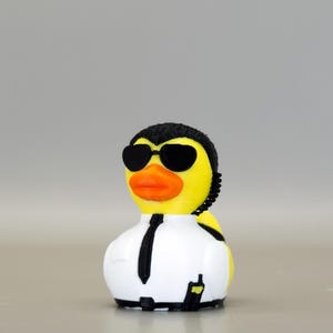 Security Duck: Dashboards and cruise hiding