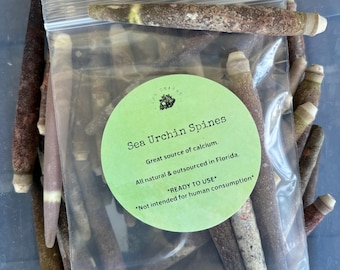 Sea Urchin Spines | Natural Calcium Source for Hermit Crabs | Coastal Decor
