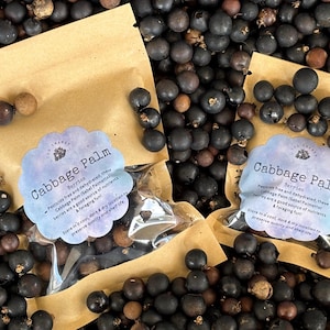 May include: Two kraft paper bags filled with dark berries, labeled "Cabbage Palm Berries." The berries are scattered around the bags. The labels state the berries are pesticide-free and a good source of nutrients.