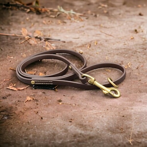 Puede incluir: Una correa de cuero marrón para perros con un mosquetón y herrajes de color latón. La correa está enrollada sobre una superficie texturizada y terrosa, lo que sugiere su uso en exteriores. El diseño presenta detalles cosidos y una estética clásica.