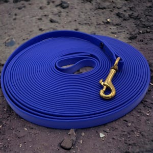 May include: A coiled blue dog leash with a gold metal clip.