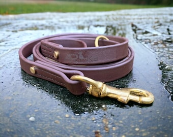 Heavy Duty Biothane Dog Lead: Waterproof, Strong, Customizable