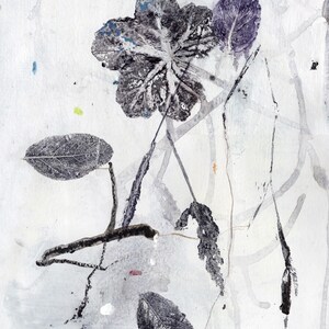 sfumature di grigio, belle arti su carta, flora astratta, decorazioni murali ispirate alla natura, arte botanica