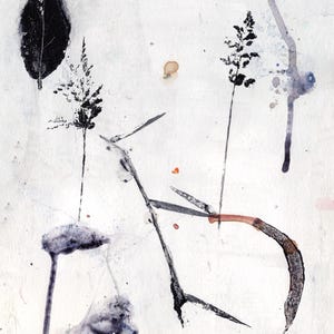 un momento congelato nel tempo, belle arti su carta, flora astratta, decorazione murale ispirata alla natura, arte botanica