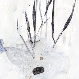 luci e ombre, belle arti su carta, flora astratta, decorazioni murali ispirate alla natura, arte botanica