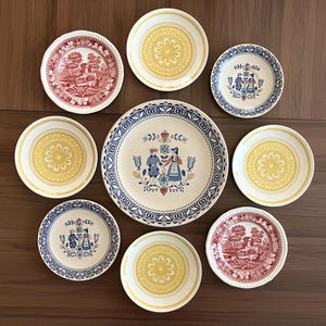 Vintage Ironstone Plate Collection, Folk Art Wall Decor, Set of 9