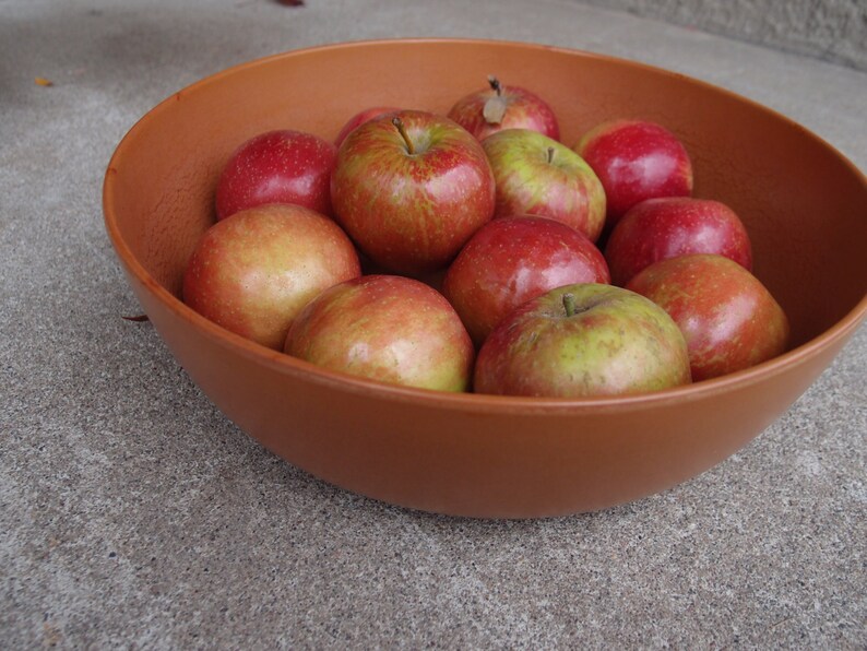 Vintage Fruit Bowl Extra Large Melamine Ellingers Serving Mixing Storage Kitchen Dining Caramel Brown Wood Grain Finish Home Decor Retro