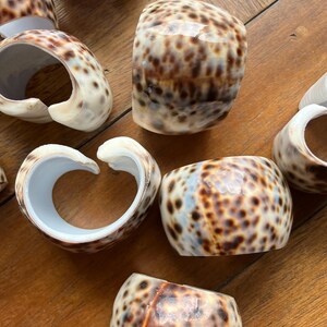 May include: A collection of seashell napkin rings. The rings are cylindrical with a speckled brown and cream pattern. The interior of each ring is white. The napkin rings are arranged on a wooden surface.