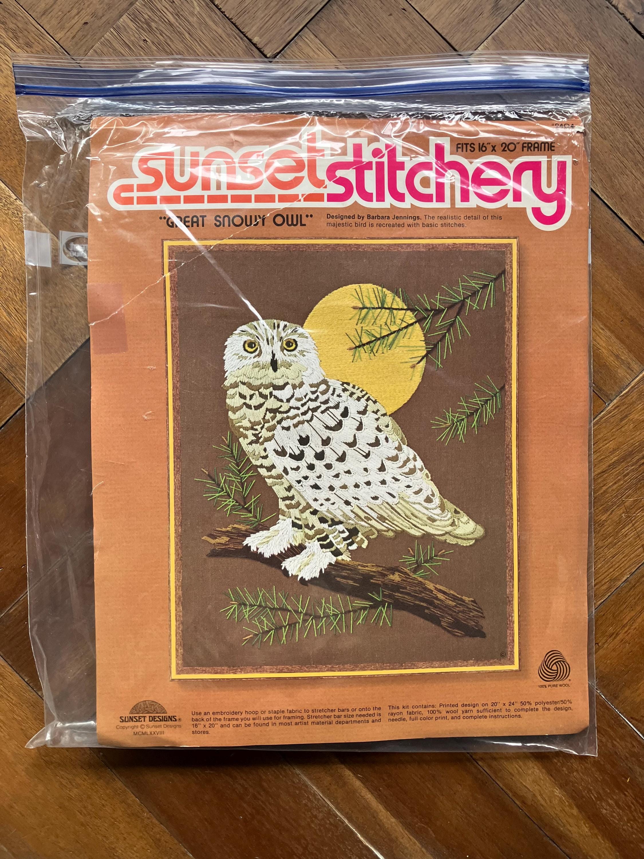 Vintage Crewel Kit: Snowy Owl, Full Moon, Woodland Decor (16x20" Design)