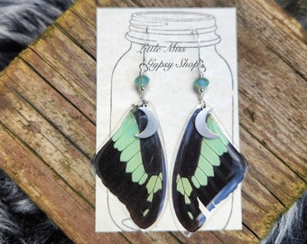 Beaded Mint Green Swallowtail Real Butterfly Wing Earrings, Resin Coated Butterfly, Butterfly Specimen, Insect Bug, Oddity Jewelry, Moon