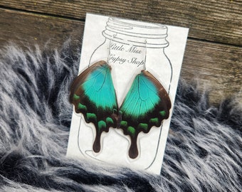 Sea Green Swallowtail Real Butterfly Wing Earrings, Resin Coated Butterfly, Butterfly Specimen, Insect Bug, Oddity Jewelry, Memorial Jewelry