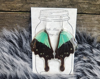 Mint Green Swallowtail Real Butterfly Wing Earrings, Resin Coated Butterfly, Butterfly Specimen, Insect Bug, Oddity Jewelry, Memorial, Goth