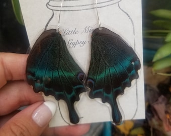 Large Butterfly Wings, Papilio Maackii Swallowtail Butterfly, Real Butterfly Earrings, Peacock Metallic, Bohemian Boho, Insect Bug,  BW104