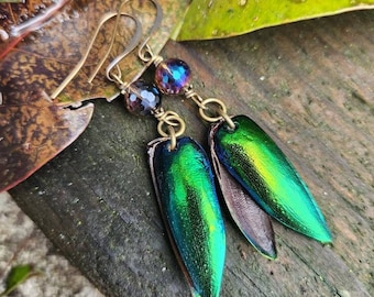 Jewel Beetle Wing Earrings, Bronze Metal Earrings, Insect Wings, Vintage Glass, OOAK, Layered Wing Earrings, Gothic Goth Boho, Dangle, Drops