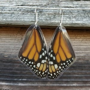Real Monarch Butterfly Wing Earrings, Resin Wings, Earthy Organic Jewelry, Festival, Natural, Witchy, Hippie, Boho, Unique Gift, Fairy BW037 image 3