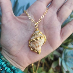 May include: A gold-toned necklace featuring a seashell pendant. The pendant is a natural seashell with gold accents, suspended from a delicate gold chain. The seashell has a spiral design with tan and white hues.