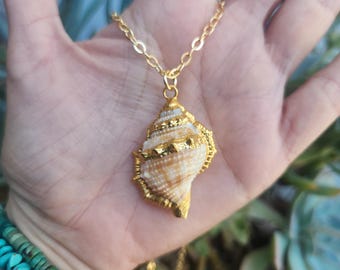 Gold Electroplated Real Seashell Pendant Necklace, Adjustable Chain