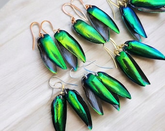 Real Beetle Wing Simple Earrings, Bold Statement Earrings, Insect Oddity Jewelry, Scarab Beetle, Entomology, Insect specimen, Goth Gothic