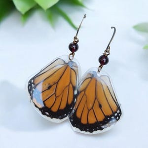 May include: A pair of dangle earrings featuring real butterfly wings encased in clear resin. The wings are orange and black with a brown bead accent.