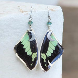 Beaded Mint Green Swallowtail Real Butterfly Wing Earrings, Resin Coated Butterfly, Butterfly Specimen, Insect Bug, Oddity Jewelry, Moon