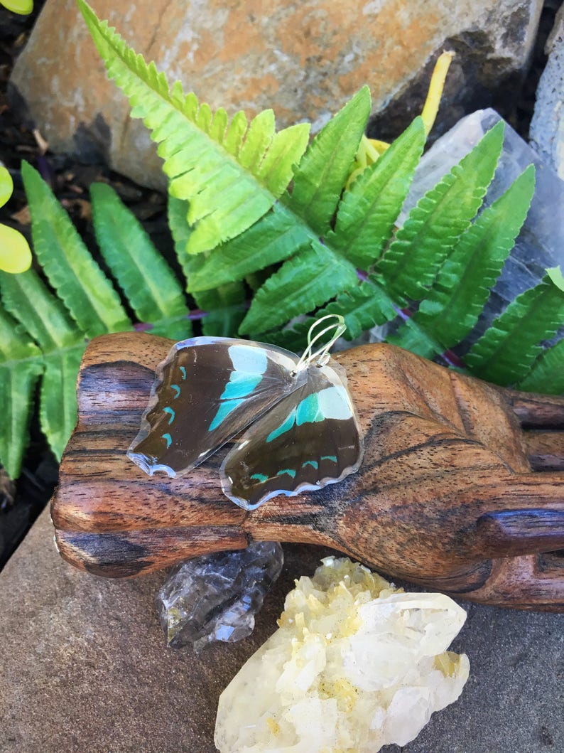 Blue Triangle Butterfly Wing Earrings Cruelty Free Real Wings Small Bohemian Jewelry Minty Green Earthy Organic Jewelry BW055 Natural