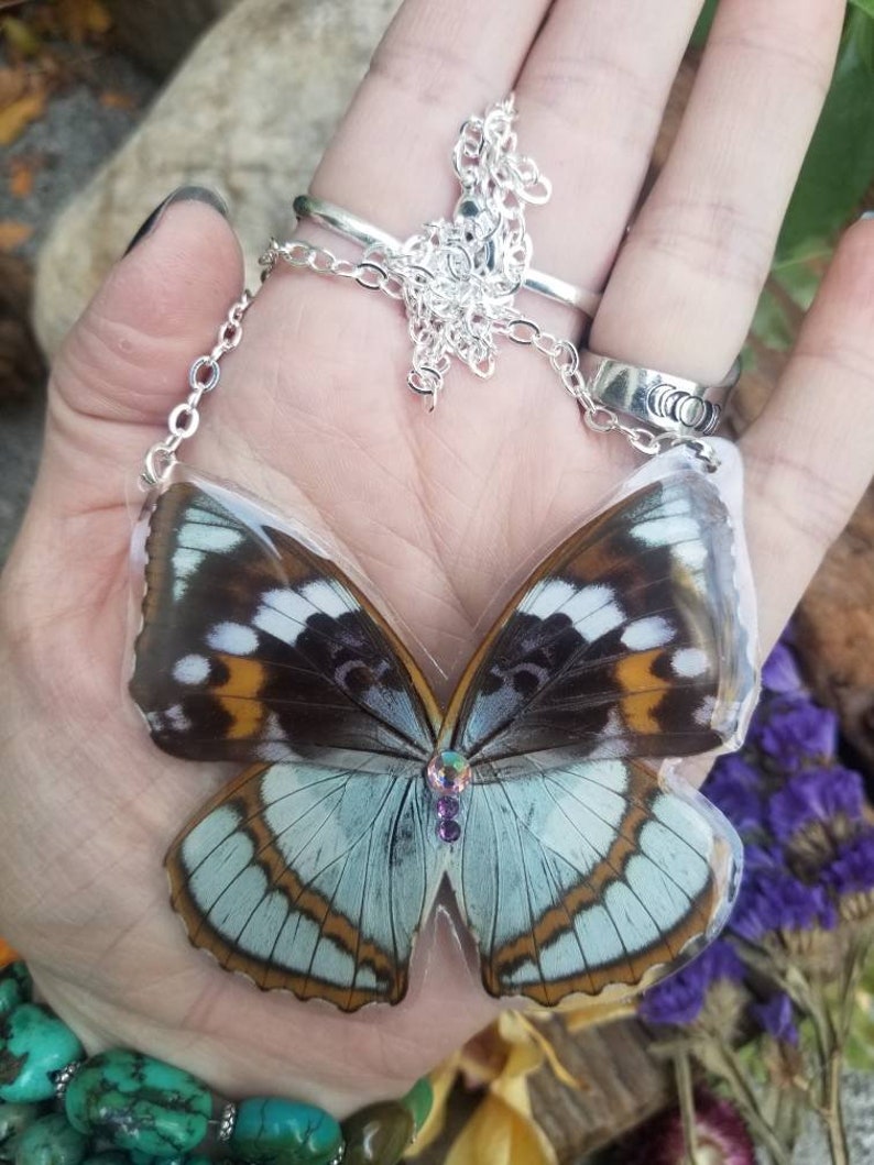 Resin Butterfly Wings Real Butterfly Necklace Insect Boho Witchy Fairy Wings Oddity Jewelry Blue Gray Purple Butterfly Cruelty Free