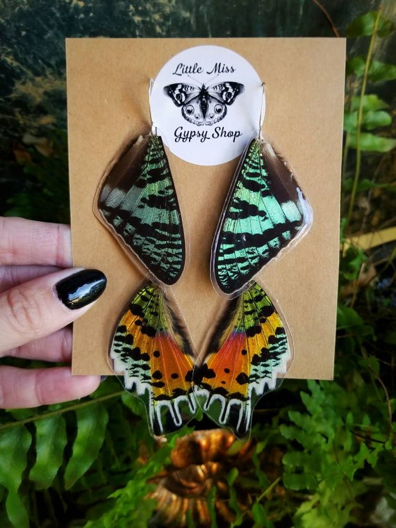Download Layered Madagascar Sunset Moth Earrings Fairy Wings Real Etsy