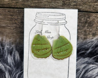 ONLY ONE Green Small Real Butterfly Wing Earrings, Small Butterfly Wings, Insect Jewelry, Natural, Taxidermy Cruelty Free, Boho BW0601