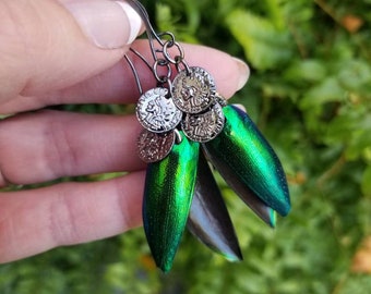 Beetle Wing Earrings, Metallic Green, Handmade Unique OOAK, Insect Bug Jewelry, Bohemian Boho, Coin Earrings, Gunmetal Black, Dangle, Drops