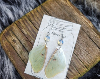 Real Luna Moth Wing Earrings, White Opal Crystals, Cruelty Free Real Butterfly Wing Earrings, Resin Wings, Taxidermy, Actius Luna, Silver
