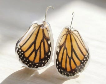 Real Monarch Butterfly Wing Earrings, Real Butterfly Earrings, Resin Insect Jewelry, Monarch Jewelry, Organic, Witch, Cruelty Free, BW035