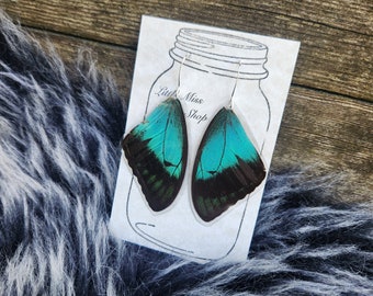 Sea Green Swallowtail Real Butterfly Wing Earrings, Resin Coated Butterfly, Butterfly Specimen, Insect Bug, Oddity Jewelry, Memorial Jewelry