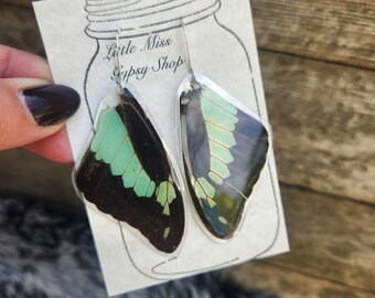 Mint Green Swallowtail Real Butterfly Wing Earrings, Resin Coated Butterfly, Butterfly Specimen, Insect Bug, Oddity Jewelry, Memorial, Goth