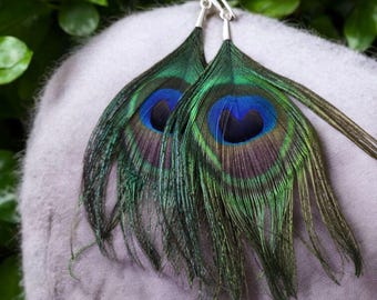 Real Peacock Feather Earrings, Boho Hippie Jewelry