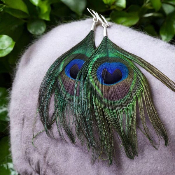 Real Peacock Feather Earrings, Boho Hippie Jewelry