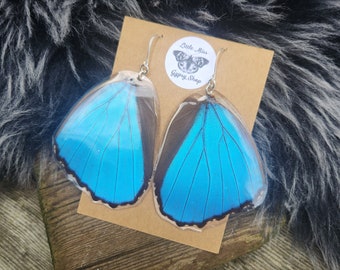 Real Huge Blue Morpho Earrings, Resin Coated Real Butterfly Earrings, Big, Bold, Festival, Statement, Iridescent, Blue Fairy Wings BW126