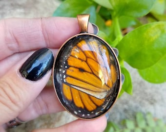 Glass Monarch Butterfly Wing Pendant, Real Butterfly Wing Necklace, Monarch Butterfly Jewelry, Insect Bug Specimen, Witchy, Boho, Memorial