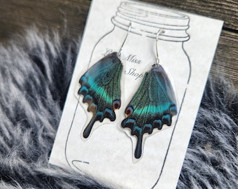 Blue Green Swallowtail Real Butterfly Wing Earrings, Peacock Metallic, Papilio Maackii Butterfly, Bohemian Boho Specimen Insect Bug, BW104S