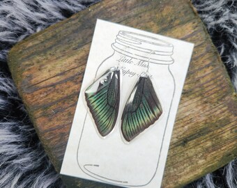 Papilio Maacki Butterfly Wing Earrings, Bug Specimen Taxidermy, Real Insect Jewelry, Green Black Wings, Bohemian Boho, Unique, Earthy BW106S