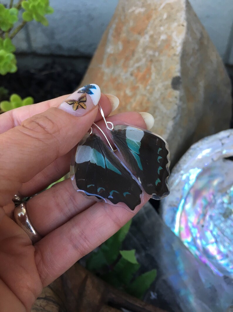 Blue Triangle Butterfly Wing Earrings Cruelty Free Real Wings Small Bohemian Jewelry Minty Green Earthy Organic Jewelry BW055 Natural