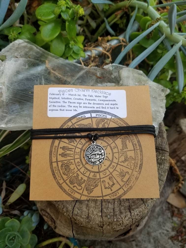 Zodiac Sign Charm Necklace, GIFT READY Astrology Sign, Black Cord Cho…