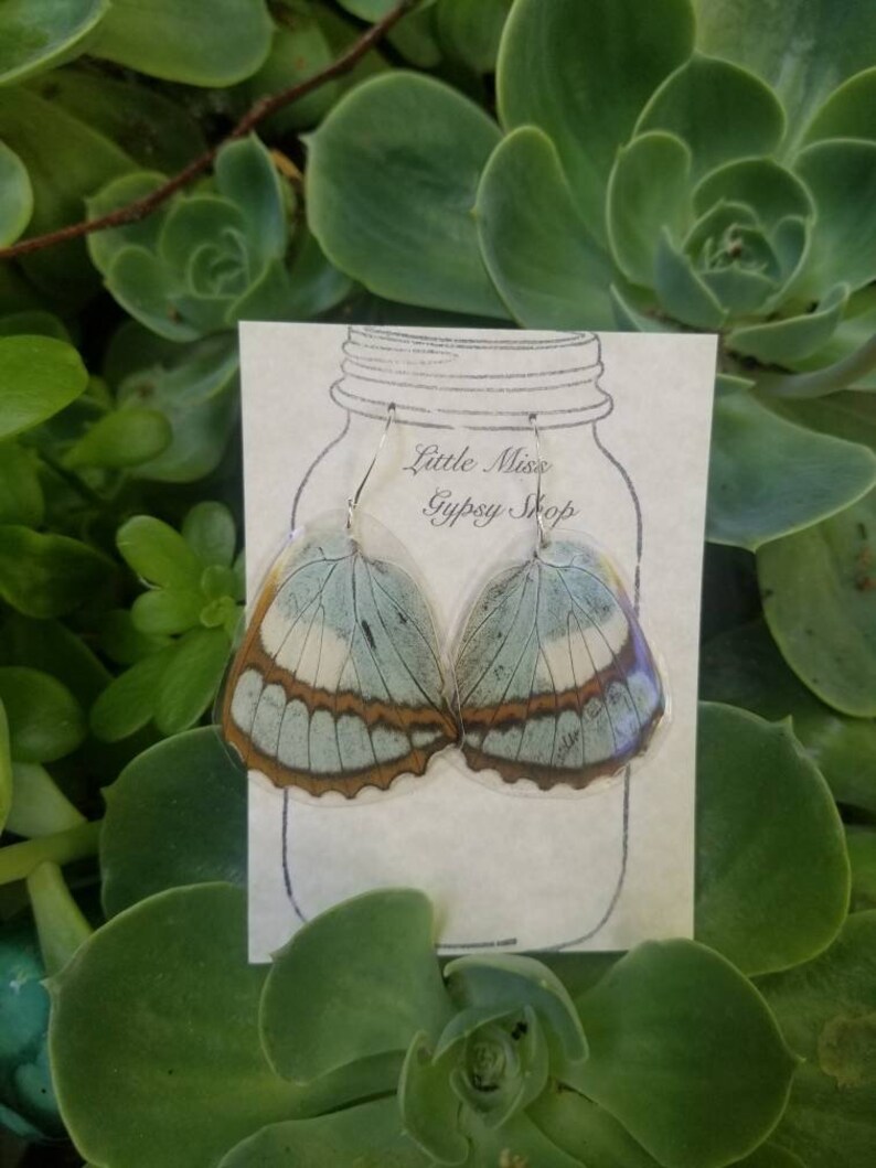 Resin Butterfly Wings Real Butterfly Necklace Insect Boho Witchy Fairy Wings Oddity Jewelry Blue Gray Purple Butterfly Cruelty Free