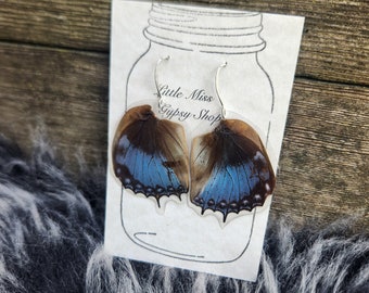 Blue Charaxes Real Butterfly Wing Earrings, Keepsake, Oddity, Taxidermy Bug, Blue Peacock Metallic, Lacewing Butterfly, Insect Bug, BW134C