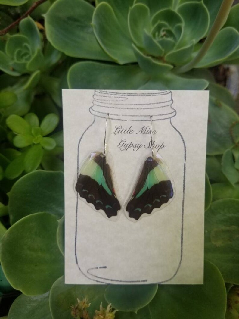 Blue Triangle Butterfly Wing Earrings Cruelty Free Real Wings Small Bohemian Jewelry Minty Green Earthy Organic Jewelry BW055 Natural