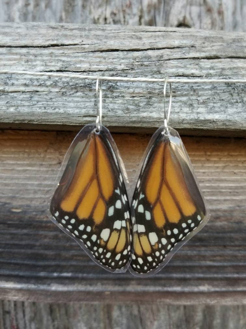 Real Monarch Butterfly Wing Earrings, Resin Wings, Earthy Organic Jewelry, Festival, Natural, Witchy, Hippie, Boho, Unique Gift, Fairy BW037 image 3