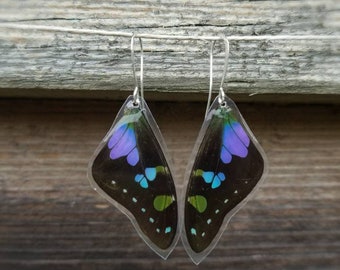 Purple Butterfly Earrings, Graphium Weiskei, Real Small Butterfly Wing Earrings, Resin Wings, Insect Jewelry, Cruelty Free, Boho BW057
